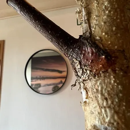 Du Moulin Coquelicot Stavelot