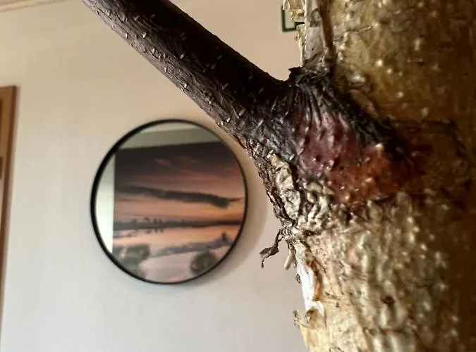 Du Moulin Coquelicot Stavelot